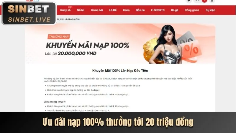 Xác minh tài khoản Ricwin